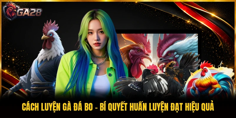 Cách Luyện Gà Đá Bo