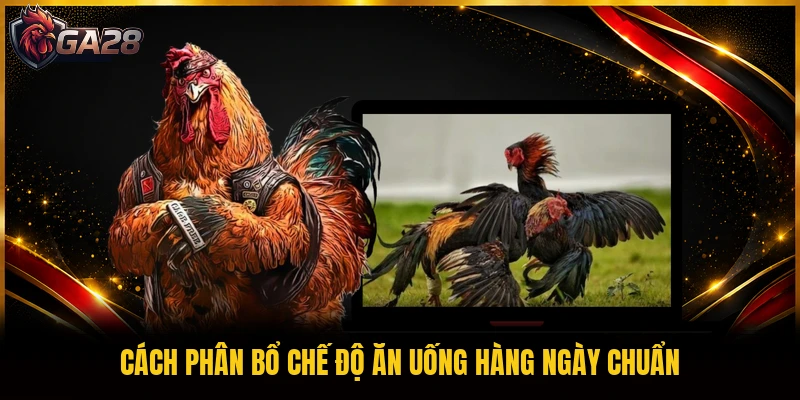 Cách phân bổ chế độ ăn uống hàng ngày chuẩn
