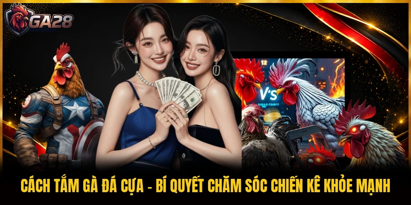 Cách Tắm Gà Đá Cựa