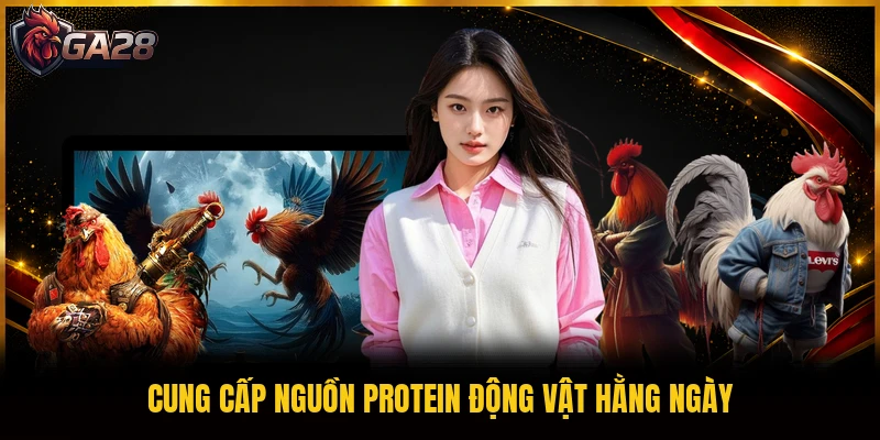 Cung cấp nguồn protein động vật hằng ngày