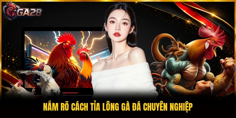 Nắm rõ cách tỉa lông gà đá chuyên nghiệp