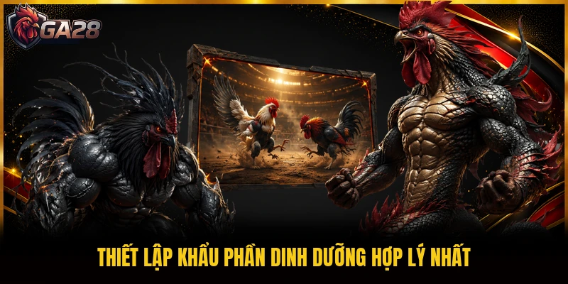 Thiết lập khẩu phần dinh dưỡng hợp lý nhất