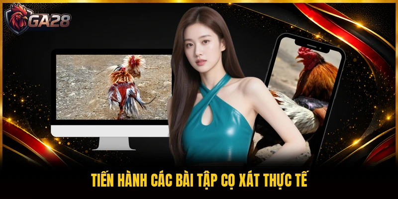 Tiến hành các bài tập cọ xát thực tế