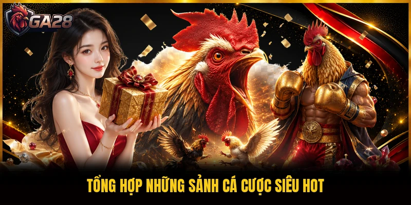 Tổng hợp những sảnh cá cược siêu hot