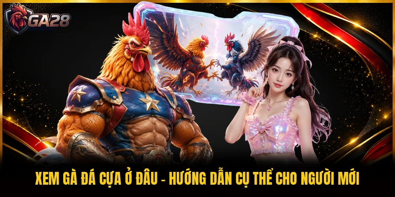 Xem Gà Đá Cựa Ở Đâu